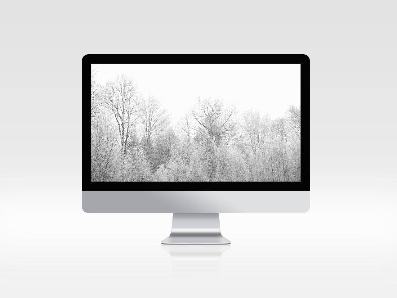 Portfolio 9